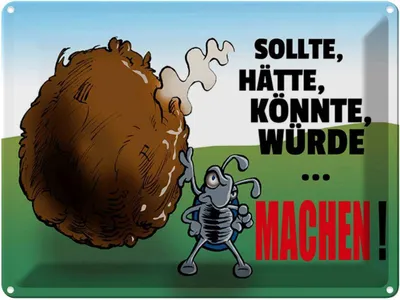 Produktbild von vianmo Blechschild 30x40 cm Sollte hätte könnte Machen Spruch Zitat