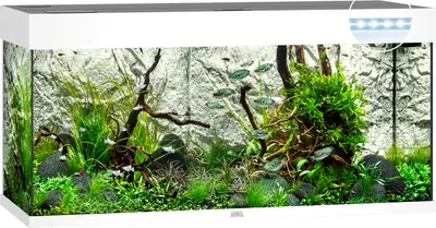 Immagine prodotto di JUWEL Rio 180 acquario con illuminazione a LED, pompa, filtro, riscaldatore senza mobile bianco
