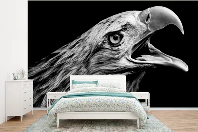 Produktbild von MuchoWow® Fototapete für Wohnzimmer oder Schlafzimmer Wandtapete Vinyl Motivtapete Adler - Porträt - Raubvögel - Schwarz - Weiß - Vogel - 375x280 cm - Schlafzimmer tapete
