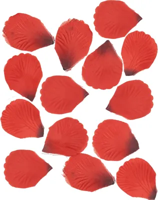 Immagine prodotto di 100 petali di rosa in tessuto rosso scuro 5 x 5 cm - taglia unica