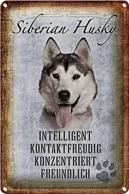 Produktbild von Blechschild Spruch 18x12cm Siberian Husky Hund