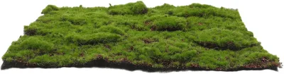 Zdjęcie produktu dla Sztuczna mata mszysta o wymiarach 30x30 cm, wykonana z tworzywa sztucznego imitującego mech, realistyczny wygląd, odporna na warunki atmosferyczne i bezwonna, idealna do rękodzieła, dekoracji roślin doniczkowych i dekoracji ogrodowych