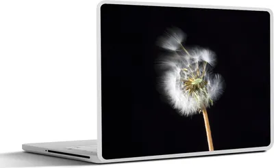 Produktbild von MuchoWow® Laptop Aufkleber Sticker Cover Eine Pollenblume auf schwarzem Hintergrund 36.5x27.5 cm - Laptop-Sticker
