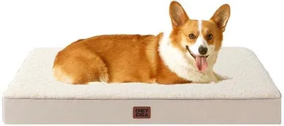 Produktbild von Orthopädisches Hundebett mittelgroß 89x58x9cm waschbar weiches Kissen