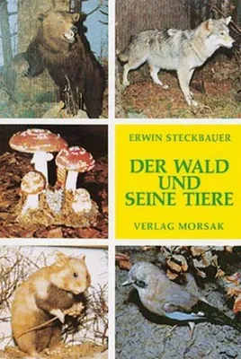 Produktbild von Der Wald und seine Tiere