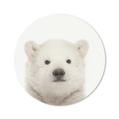 Produktbild von MuchoWow® Mauspad Mousepad Tiere - Eisbär - Weiß 50x50 cm - Mousepads - Maus Mat - Pad - Mausunterlage - Vinyl
