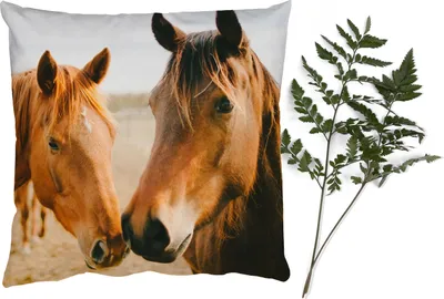 Produktbild von MuchoWow® Zierkissen Sofakissen Wohnzimmer Dekokissen 60x60 cm Pferd - Strand - Tiere - Sitzfläche - Foto Polster