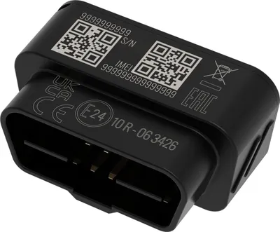Immagine prodotto di Teltonika FMB020 localizzatore e cercatore GPS Auto Nero
