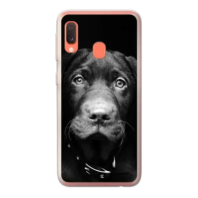 Produktbild von MuchoWow® Handyhülle Schutzhülle Hülle für Samsung Galaxy A20e Hund - Leicht - Schwarz Silikon Softcase Handy Hülle - Abdeckung