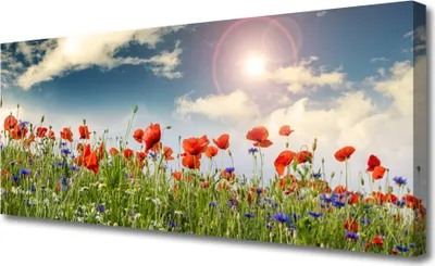 Produktbild von Tulup Leinwand-Bilder 125x50 Wandbild Canvas Kunstdruck Wiese Blumen Natur