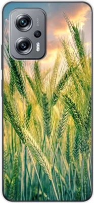 Produktbild von König Design Hülle kompatibel mit Xiaomi Redmi K50i Kunststoff Soft Handyhülle - Handy Case Kornfeld