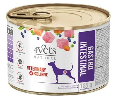 Produktbild von 4VETS Natural Gastro Intestinal Dog - Nassfutter für Hunde - 24 x 185 g