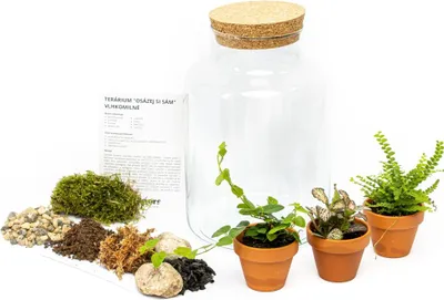 Obrázek produktu pro Gardners Skleněná dóza HELENIUM OSÁZEJ SI SÁM vlhkomilně, L