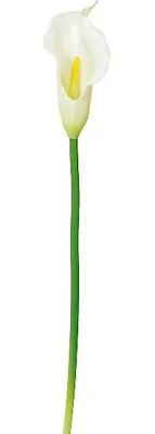 Produktbild von artplants.de Dekoblume Calla PERKAN, weiß, 35cm - Kunstpflanze Calla