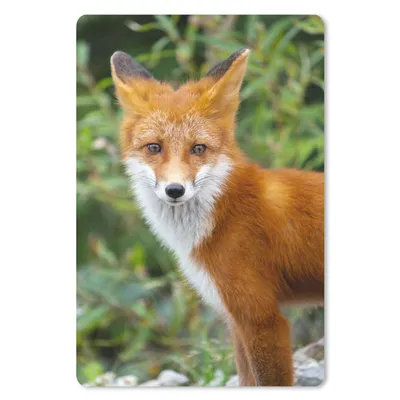 Produktbild von MuchoWow® Mauspad Mousepad Fuchs - Orange - Wald 18x27 cm - Mousepads - Maus Mat - Pad - Mausunterlage