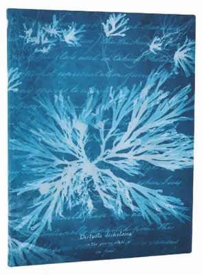 Produktbild von Paperblanks FB1365-6, Muster, Blau, 176 Blätter, 100 g/m², Softcover, Erwachsener