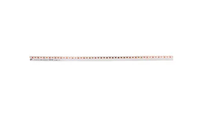 Produktbild von Gabelanschluss-Sammelschiene 2P 100A 16mm2 (54mod.) IZ16/2F/54 002921067