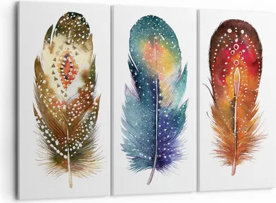 Produktbild von Bild auf Leinwand - Leinwandbild - 3 Teile - Feder Vogel Farbe - 105x70cm - Wand Bild - Wanddeko - Wandbilder - Leinwanddruck - Bilder - Wanddekoration - Leinwand bilder - Wandbild - CE105x70-4927