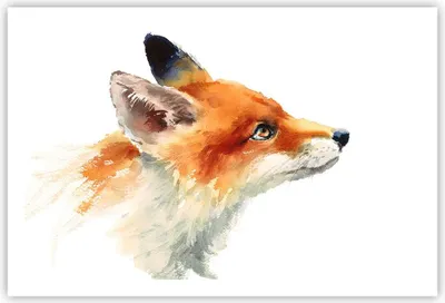 Produktbild von Poster - Poster ohne Rahmen - Fuchs Tier Natur - 91,5x61 cm - Wand Bild - Wanddeko - Wandbilder - Kunstposter - Wandposter - Bilder - Kunstdruck - Wanddekoration - Wandbild - P2XAA91x61-3904
