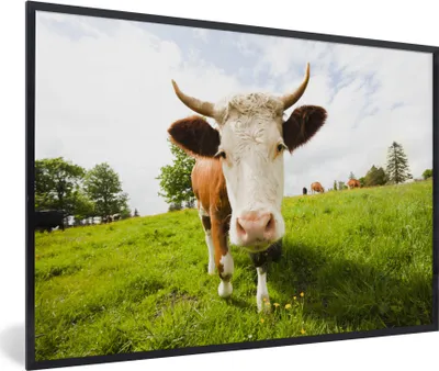 Produktbild von MuchoWow® MuchoWow® Gerahmtes Poster Kuh - Licht - Schatten 30x20 cm - Poster mit zchwarzem Bilderrahmen - Kunstdruck - Bild-Poster