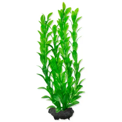 Zdjęcie produktu dla Tetra DecoArt Plant M Hygrophila