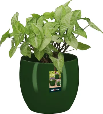 Produktbild von KOTARBAU® Kvetináč keramický okrúhly ⌀ 10 cm Výška: 9,5 cm Zelený kvetináč Keramický kvetináč na izbové rastliny Kvetináč moderný malý kvetináč Kvetináč keramický Keramický kvetináč na orchideu