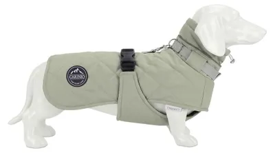 Obrázok produktu pre Psia bunda Carinio Alpine Thermo Mint S, Obrázok generovaný UI