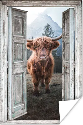 Produktbild von MuchoWow® Poster Schottischer Highlander - Kuh - Ländlich - Ansicht 80x120 cm - Papierdruck