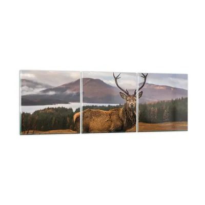 Produktbild von Bilder auf glas - 3 Teile - Rehe Wiese Berge - 120x40cm - Glasbilder - Wandbilder - Bilder - zum Aufhängen bereit - Wanddekoration aus Glas - Glas Bilder - Wandbild auf Glas - GCA120x40-4231