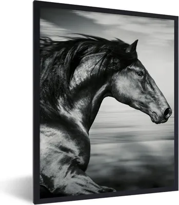 Produktbild von MuchoWow® Gerahmtes Poster Pferd - Tiere - Schwarz - Weiß 60x80 cm - Poster mit Schwarzem Bilderrahmen Wandposter Rahmen Foto Bilder - Premium - Wanddeko Wohnzimmer