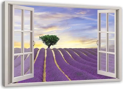 Produktbild von Leinwandbild fenster - lavendelfeld 60x40 cm Feeby lila wandbild bereit zum aufhängen