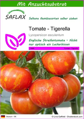 Produktbild von SAFLAX - Tomate - Tigerella - 10 Samen - Mit keimfreiem Anzuchtsubstrat - Lycopersicon esculentum