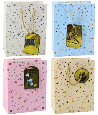 Image de Sac cadeau étudiant enseignant 32 X 26 X 12 Cm