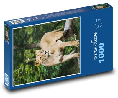 Zdjęcie produktu dla Puzzle 1000 Lwica na wolności - martinpuzzle