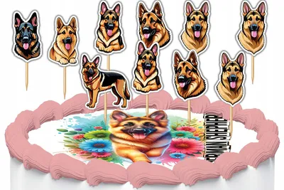 Produktbild von Tortenstecker Kuchendeko Set - Deutscher Schäferhund 10 Stück