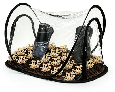 Imagen del producto de Tienda para cultivo de setas, 90 x 60 x 60 cm, caja de aire silenciosa