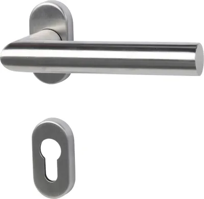 A stainless steel door handle and keyhole escutcheon on a white background.