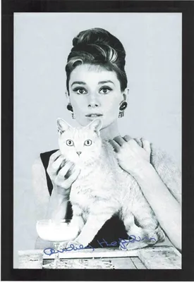 Produktbild von Hepburn, Audrey Katze - 20x30 cm bedruckter Spiegel im Kunststoff Rahmen
