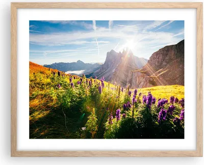 Produktbild von Gerahmtes Poster - Rahmen in heller Eiche - Berge Wiese Blumen - 50x40 cm - Wand Bild - Wanddeko - Wandbilder - Wandposter - Bilderrahmen - Bilder - Kunstdruck - Wandbild - P2NAA50x40-4008