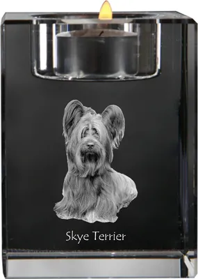 Produktbild von Skye Terrier - Kerzenhalter mit Hundefoto, Teelichthalter aus Kristall, personalisiertes Geschenk der Marke Art-Dog
