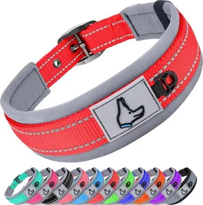Produktbild von Weicher Neopren-Hundehalsband, breit, reflektierend, rot, verstellbar