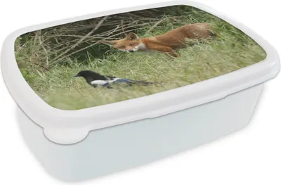 Obrázek produktu pro KitchenYeah® Lunch Box Box na oběd 17x11 cm Zvířata - Pták - Liška Dětský box na oběd - Sendvičový box - Školní box - Boxy na oběd - Děti