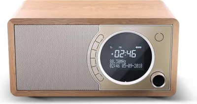 Zdjęcie produktu dla SHARP Sharp DR-450 Personal Digital Brown, stal nierdzewna
