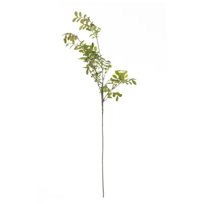 Obrázek produktu pro Větvička Green Twig100 cm