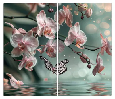 Produktbild von Spritzschutz Herdabdeckplatte Schneidebrett aus Glas Orchideen Schmetterling 2-Teilig (60x52cm)