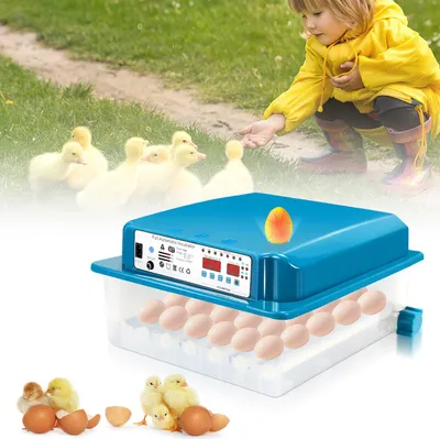 Produktbild von Faziango 36 Egg Fully Automatic Incubator – Egg Turner, Precise Temperature & Humidity Control, LED Candling Light