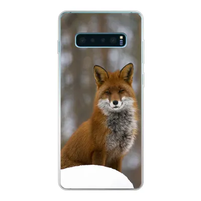 Produktbild von MuchoWow® Handyhülle Schutzhülle Hülle für Samsung Galaxy S10 Lite Fuchs - Wald - Rot Silikon Softcase Handy Hülle - Schutz