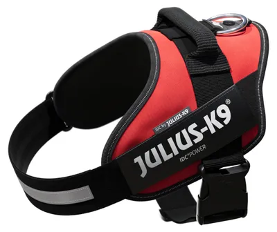 Zdjęcie produktu dla Julius K9 - Szelki dla psa - czerwone - rozmiar 1 - obwód 63-85 cm