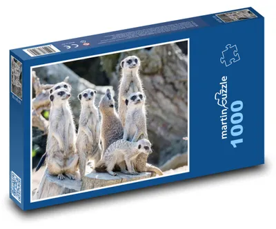 Zdjęcie produktu dla Puzzle 1000 Grupa ciekawskich surykatek - martinpuzzle