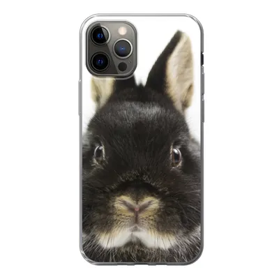 Produktbild von MuchoWow® Handyhülle Schutzhülle Hülle für iPhone 12 Pro Kaninchen - Haustiere - Fell Silikon Softcase Handy Hülle - Abdeckung